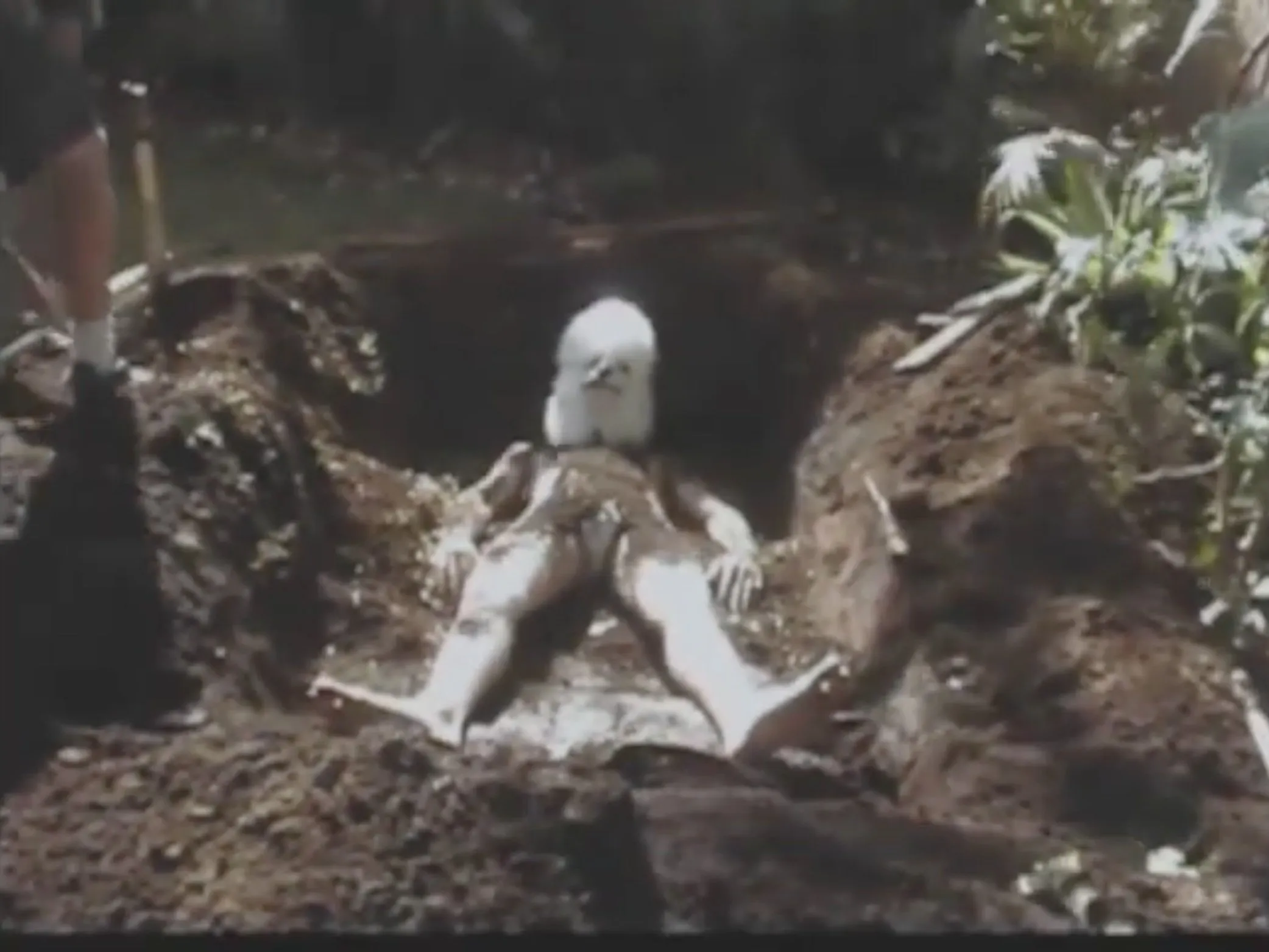 Fotograma 1 de 8 de Lost My Mind — The Blue Apt.