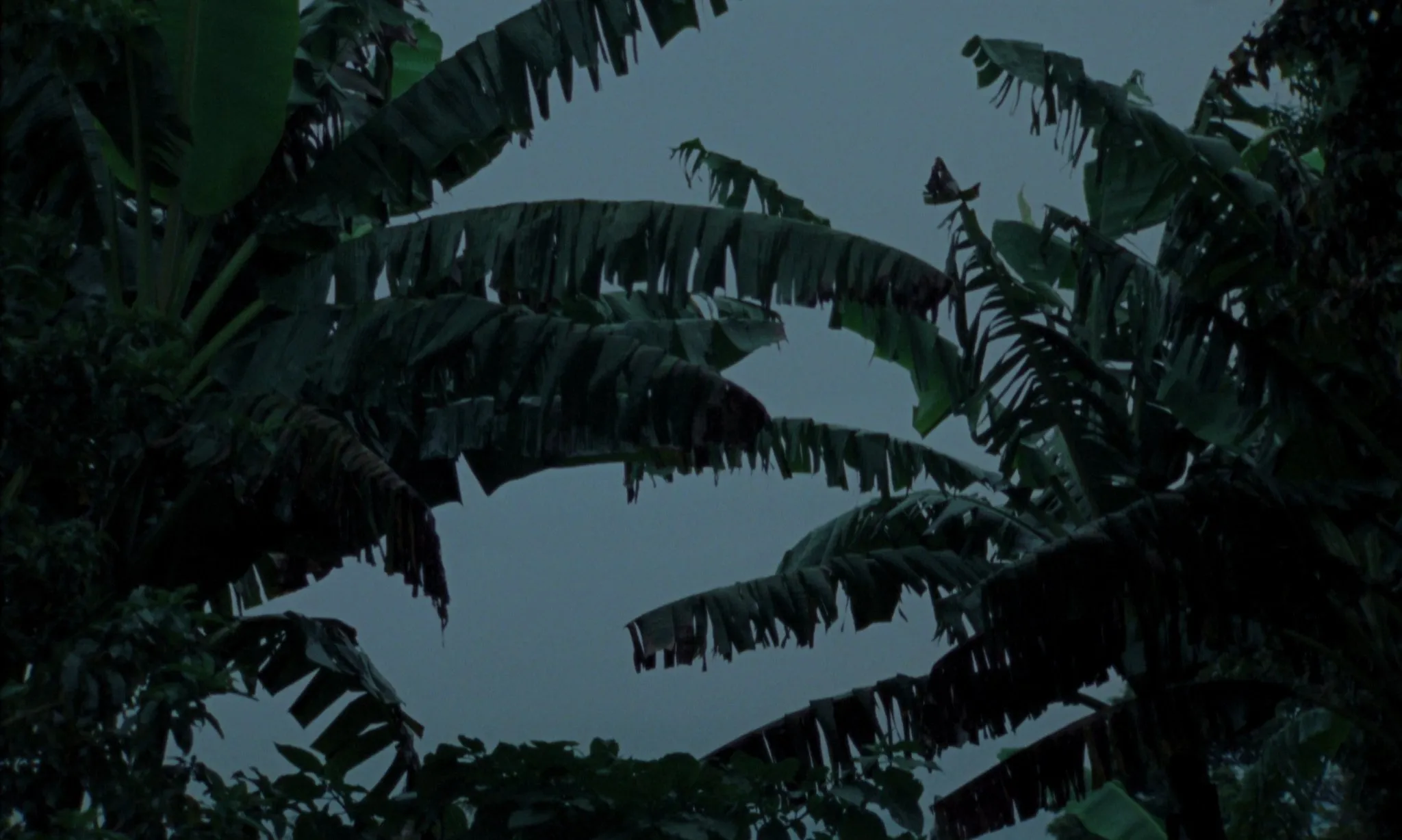 Fotograma 3 de 5 de El poder de la ficción es terrible